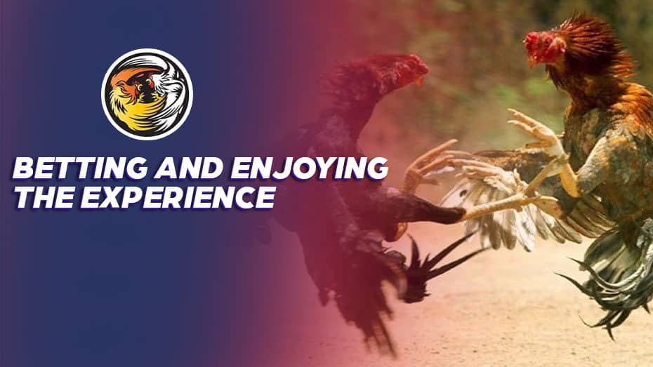 what is gambling register free 100 no deposit